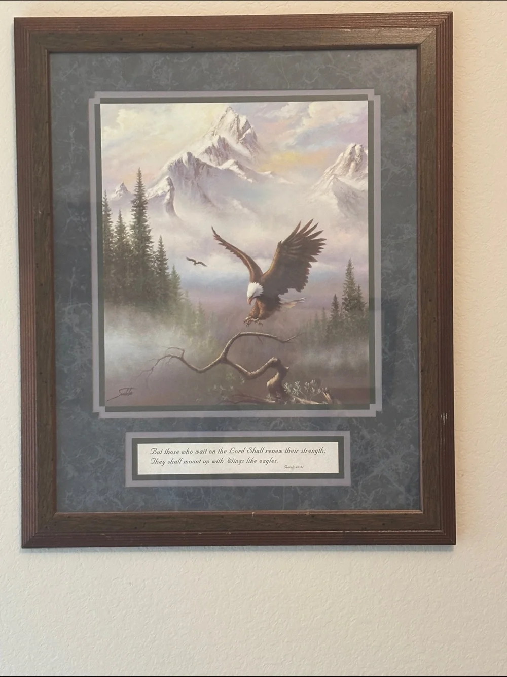 Framed Eagle Mountain Wall Art Print in Brown and Gray221/2x18